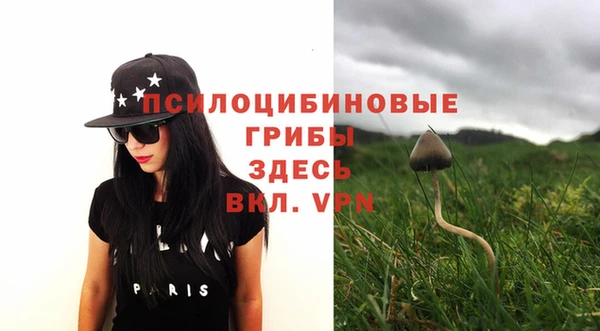 прущий лед Ельня