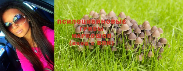 прущий лед Ельня