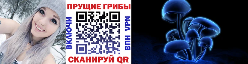 Псилоцибиновые грибы прущие грибы  Вихоревка 